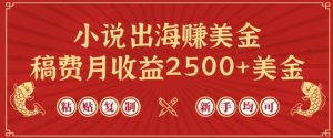 小说出海赚美金,稿费月收益2500+美金,仅需chatgpt粘贴复制,新手也能玩转【揭秘】-优品网赚资源库