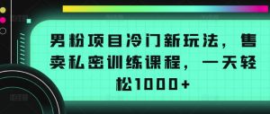 男粉项目冷门新玩法，售卖私密训练课程，一天轻松1000+【揭秘】-优品网赚资源库