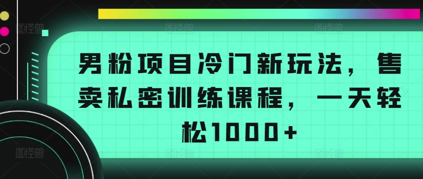 男粉项目冷门新玩法，售卖私密训练课程，一天轻松1000+【揭秘】-优品网赚资源库