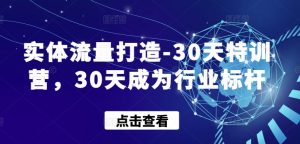 实体流量打造-30天特训营,30天成为行业标杆-优品网赚资源库