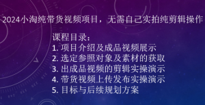 2024小淘纯带货视频项目，无需自己实拍纯剪辑操作-优品网赚资源库