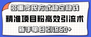 精准项目粉高效引流术，新手单日引流50+，多重变现方式稳定赚钱【揭秘】-优品网赚资源库