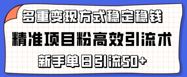 精准项目粉高效引流术，新手单日引流50+，多重变现方式稳定赚钱【揭秘】-优品网赚资源库
