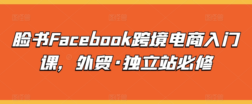 脸书Facebook跨境电商入门课，外贸·独立站必修-优品网赚资源库