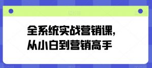 全系统实战营销课，从小白到营销高手-优品网赚资源库