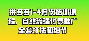 拼多多1-4月份培训课程，自然流强付费推广全套打法和细节-优品网赚资源库