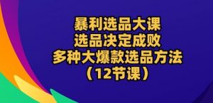 暴利选品大课:选品决定成败,教你多种大爆款选品方法(12节课)-优品网赚资源库