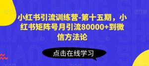 小红书引流训练营-第十五期,小红书矩阵号月引流80000+到微信方法论-优品网赚资源库