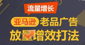 亚马逊流量增长-老品广告放量增效打法,循序渐进,打造更多TOP listing-优品网赚资源库