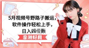 5月视频号野路子搬运，软件操作轻松上手，日入三位数【揭秘】-优品网赚资源库