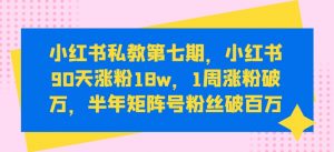 小红书私教第七期，小红书90天涨粉18w，1周涨粉破万，半年矩阵号粉丝破百万-优品网赚资源库