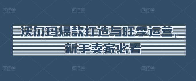 沃尔玛爆款打造与旺季运营，新手卖家必看-优品网赚资源库