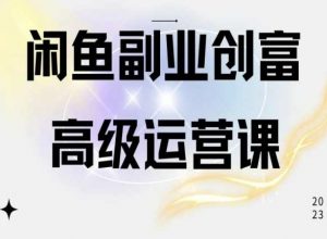 闲鱼电商运营高级课程，一部手机学会闲鱼开店赚钱-优品网赚资源库