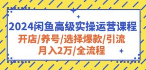 2024闲鱼高级实操运营课程：开店/养号/选择爆款/引流/月入2万/全流程-优品网赚资源库