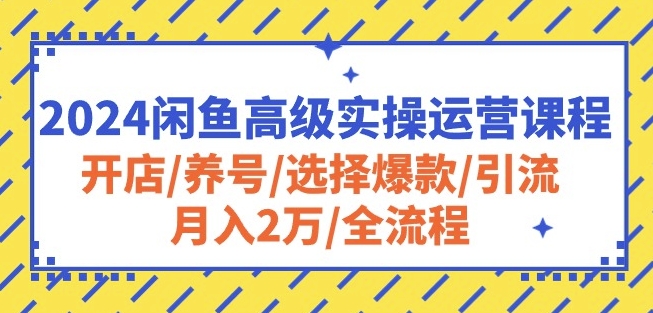 2024闲鱼高级实操运营课程：开店/养号/选择爆款/引流/月入2万/全流程-优品网赚资源库