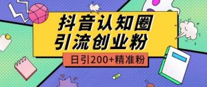 外面收费3980抖音认知圈引流创业粉玩法日引200+精准粉【揭秘】-优品网赚资源库