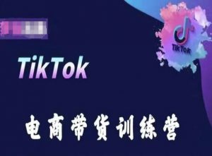 TikTok电商带货训练营，跟随时代潮流，跨境掘金-优品网赚资源库