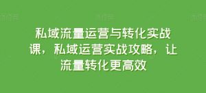 私域流量运营与转化实战课，私域运营实战攻略，让流量转化更高效-优品网赚资源库