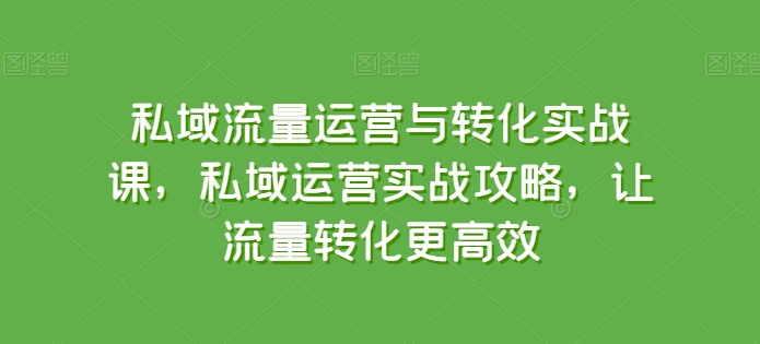 私域流量运营与转化实战课，私域运营实战攻略，让流量转化更高效-优品网赚资源库