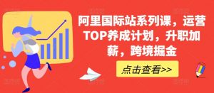 阿里国际站系列课,运营TOP养成计划,升职加薪,跨境掘金-优品网赚资源库