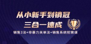 从小新手到销冠 三合一速成:销售3法+非暴力关单法+销售系统挖需课 (27节)-优品网赚资源库