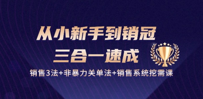 从小新手到销冠 三合一速成:销售3法+非暴力关单法+销售系统挖需课 (27节)-优品网赚资源库