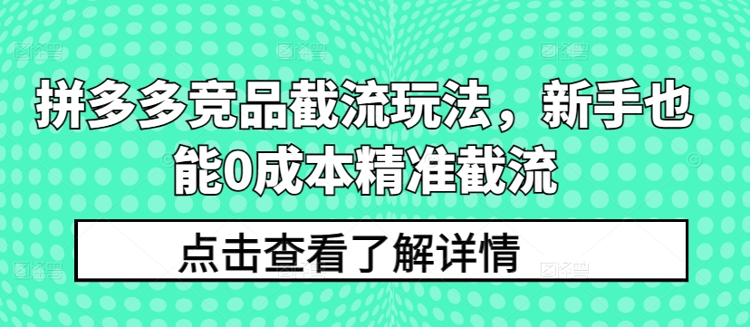 拼多多竞品截流玩法，新手也能0成本精准截流-优品网赚资源库