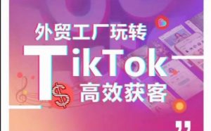 外贸工厂玩转TikTok高效获客,多种引流方式与账号定位技巧,拆解爆款短视频打造成功案例-优品网赚资源库