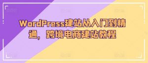 WordPress建站从入门到精通,跨境电商建站教程-优品网赚资源库
