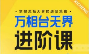 电商万相台无界进阶课,掌握流畅无界的进阶策略-优品网赚资源库