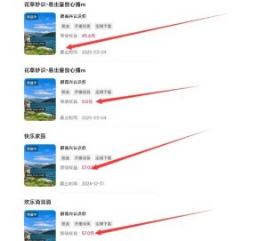 磁力聚星游戏副业陪跑训练营1.0,长期稳定项目,有人一周干了1K+-优品网赚资源库