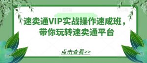 速卖通VIP实战操作速成班,带你玩转速卖通平台-优品网赚资源库