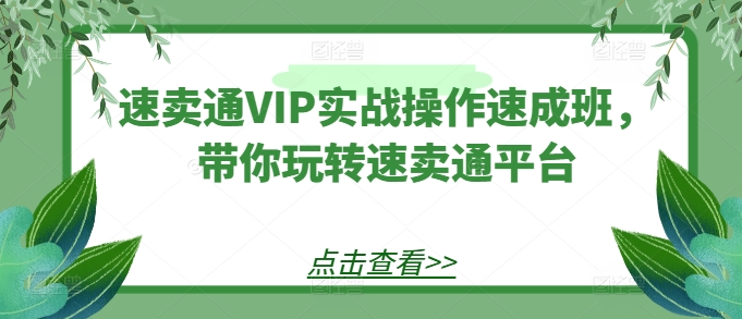 速卖通VIP实战操作速成班,带你玩转速卖通平台-优品网赚资源库