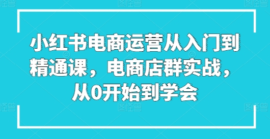 小红书电商运营从入门到精通课，电商店群实战，从0开始到学会-优品网赚资源库