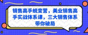 销售高手蜕变营，美业销售高手实战体系课，三大销售体系带你破局-优品网赚资源库