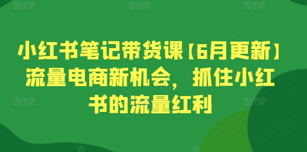 小红书笔记带货课【6月更新】流量电商新机会,抓住小红书的流量红利-优品网赚资源库