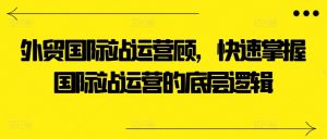 外贸国际站运营顾问，快速掌握国际站运营的底层逻辑-优品网赚资源库