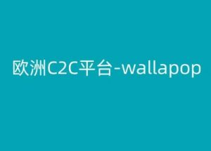 欧洲C2C平台-wallapop-kim跨境电商教程-优品网赚资源库
