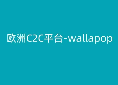 欧洲C2C平台-wallapop-kim跨境电商教程-优品网赚资源库