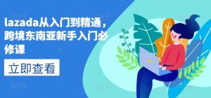 lazada从入门到精通，跨境东南亚新手入门必修课-优品网赚资源库