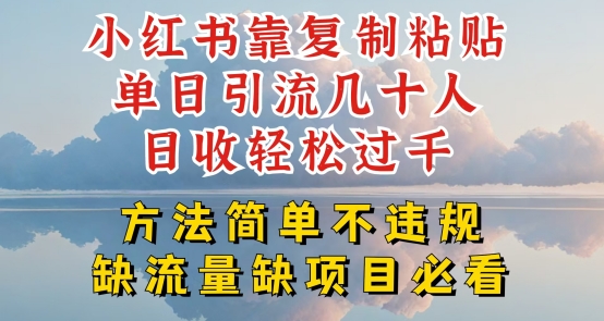 小红书靠复制粘贴单日引流几十人目收轻松过千,方法简单不违规【揭秘】-优品网赚资源库