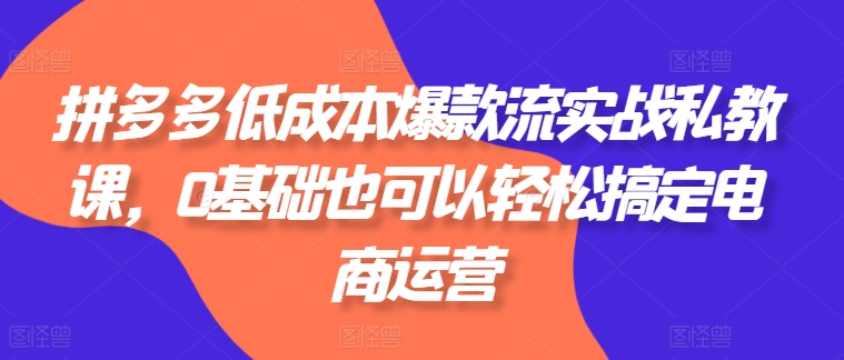 拼多多低成本爆款流实战私教课，0基础也可以轻松搞定电商运营-优品网赚资源库
