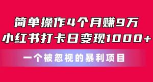 简单操作4个月赚9w，小红书打卡日变现1k，一个被忽视的暴力项目【揭秘】-优品网赚资源库