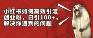 小红书如何高效引流创业粉，日引100+，解决你遇到的问题【揭秘】-优品网赚资源库