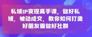 私域IP变现高手课,做好私域,被动成交,教你如何打造好朋友圈做好社群-优品网赚资源库