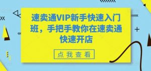 速卖通VIP新手快速入门班，手把手教你在速卖通快速开店-优品网赚资源库