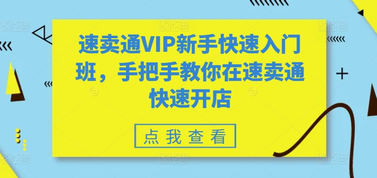 速卖通VIP新手快速入门班，手把手教你在速卖通快速开店-优品网赚资源库