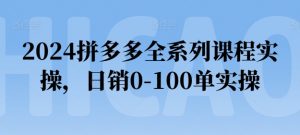 2024拼多多全系列课程实操，日销0-100单实操【必看】-优品网赚资源库