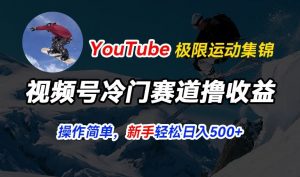 视频号冷门赛道撸收益，YouTube搬运极限运动集锦，暴力起号，操作简单流量高，轻松日入5张【揭秘】-优品网赚资源库