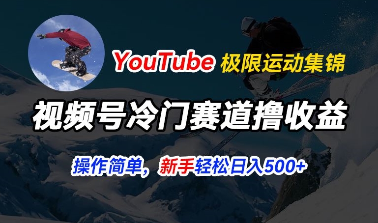 视频号冷门赛道撸收益,YouTube搬运极限运动集锦,暴力起号,操作简单流量高,轻松日入5张【揭秘】-优品网赚资源库